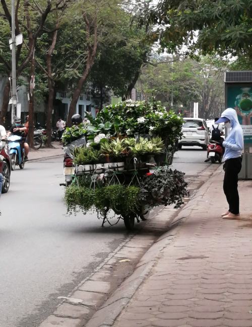 Selling flowers on a bicycle