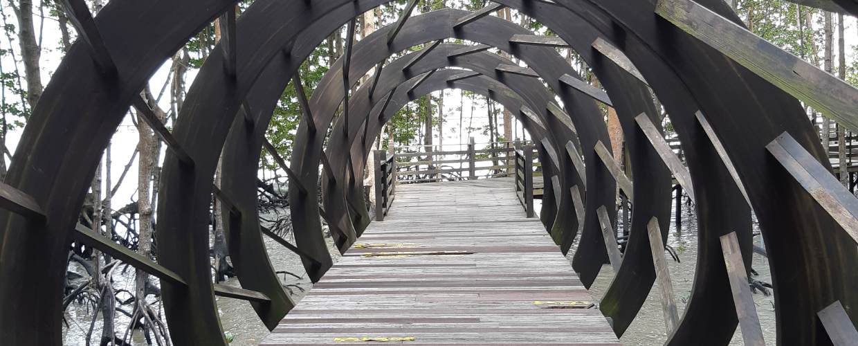 tunnel boardwalk