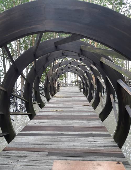 Tunnel boardwalk